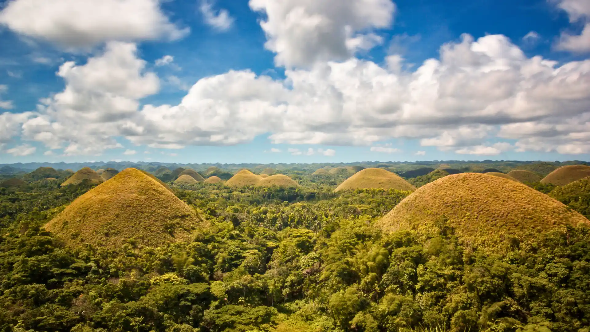 Chocolate hills tour